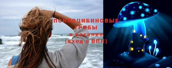 mdpv Магадан