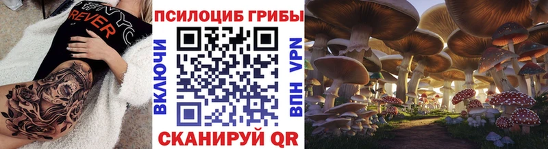 Псилоцибиновые грибы мицелий  Купить закладки  Юрга 